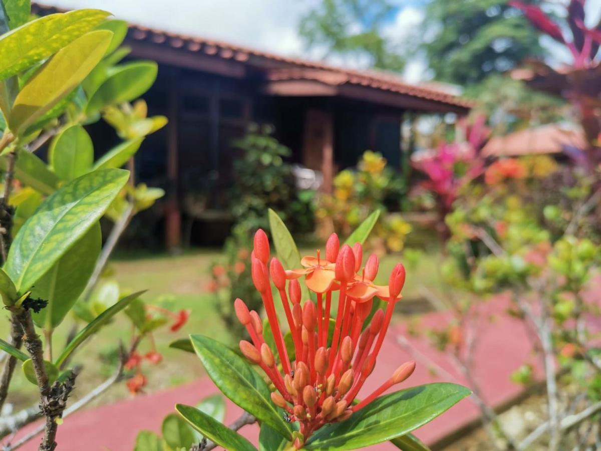 Hotel Canto De Ballenas Uvita Ngoại thất bức ảnh