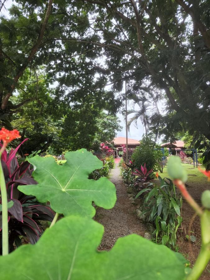 Hotel Canto De Ballenas Uvita Ngoại thất bức ảnh