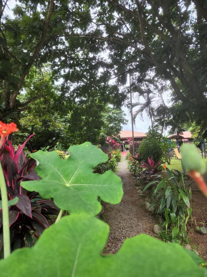 Hotel Canto De Ballenas Uvita Ngoại thất bức ảnh