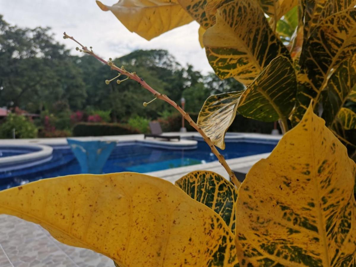 Hotel Canto De Ballenas Uvita Ngoại thất bức ảnh