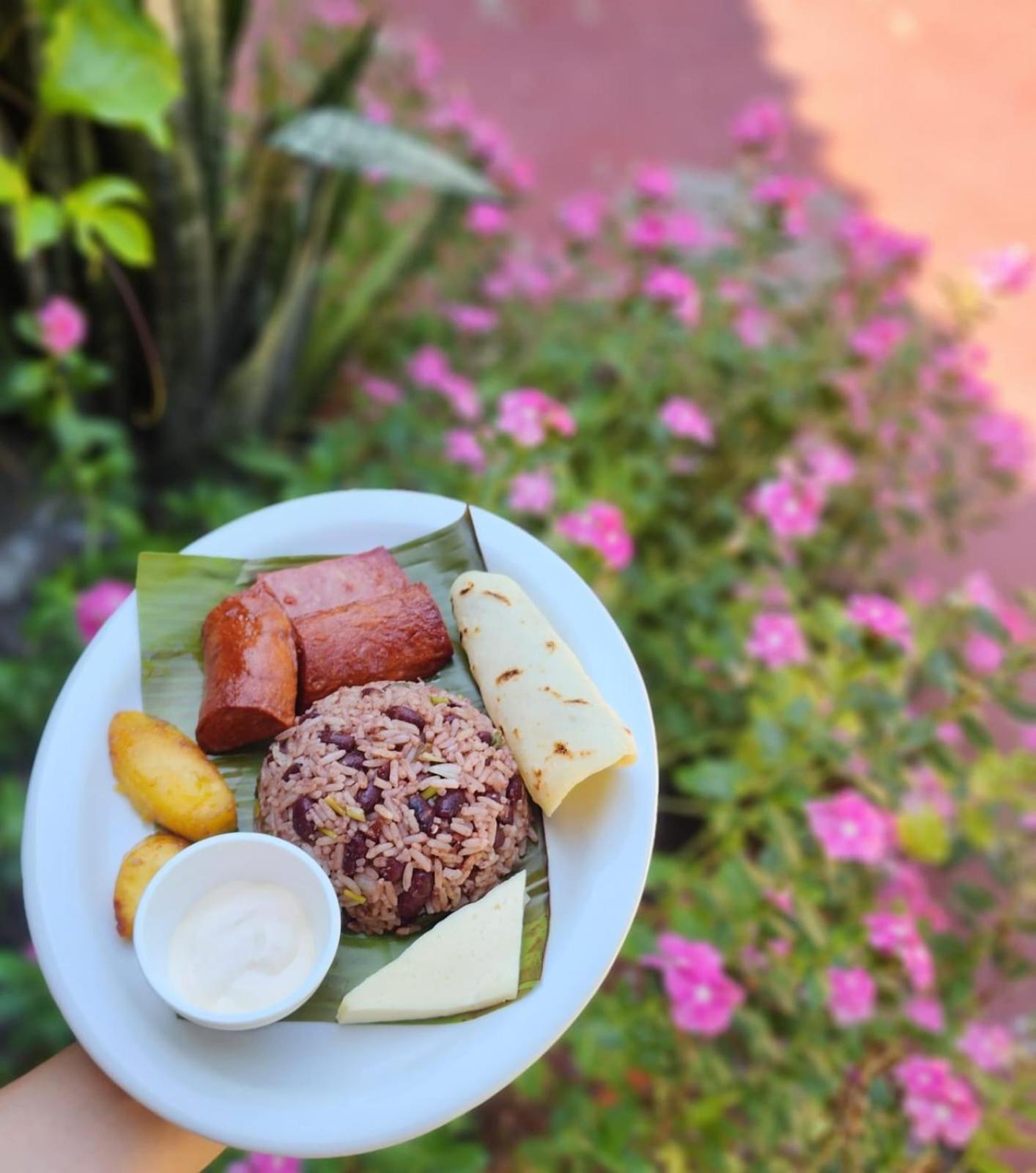 Hotel Canto De Ballenas Uvita Ngoại thất bức ảnh