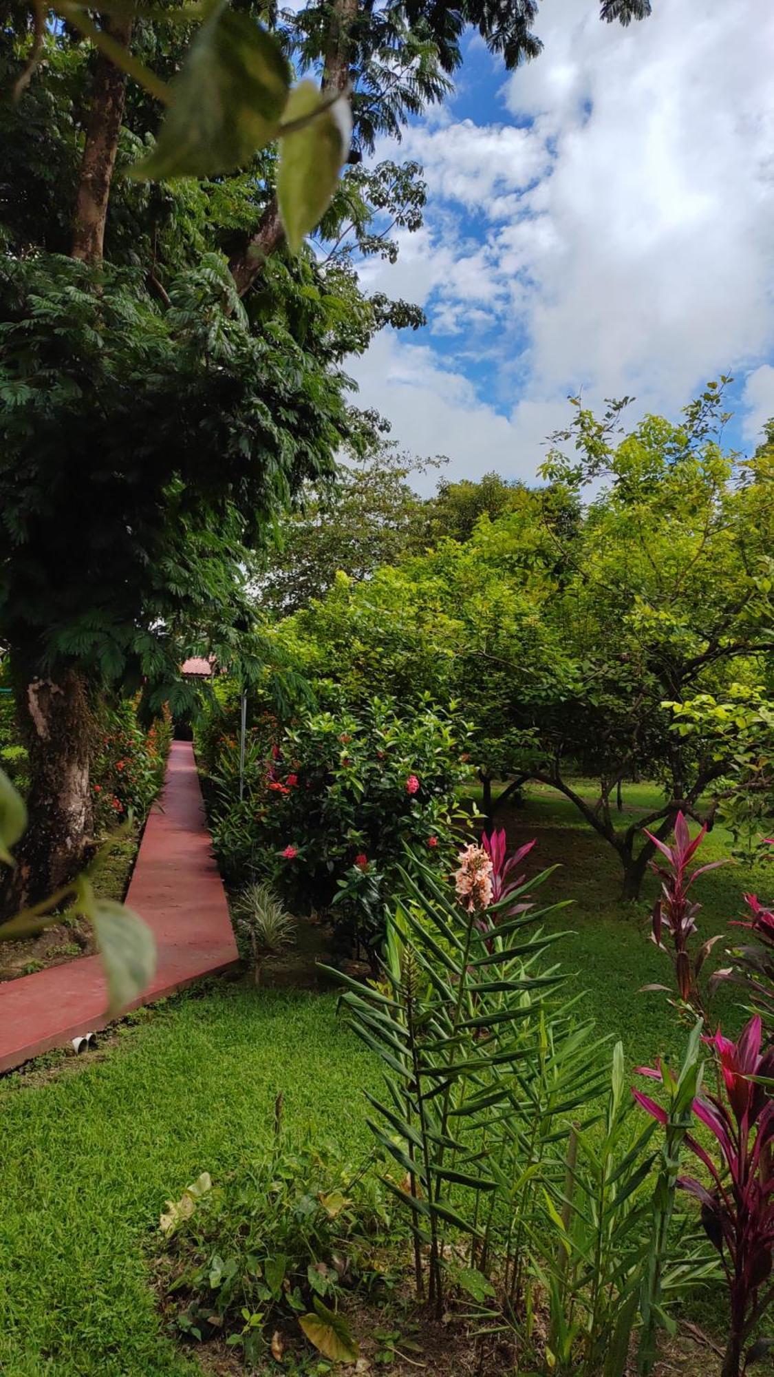 Hotel Canto De Ballenas Uvita Ngoại thất bức ảnh